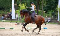 images/events/galerie1/Working Equitation (1).jpg